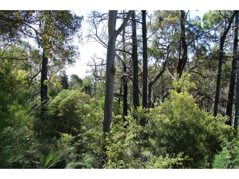 214 Dickson Way, Dunwich QLD 4183
