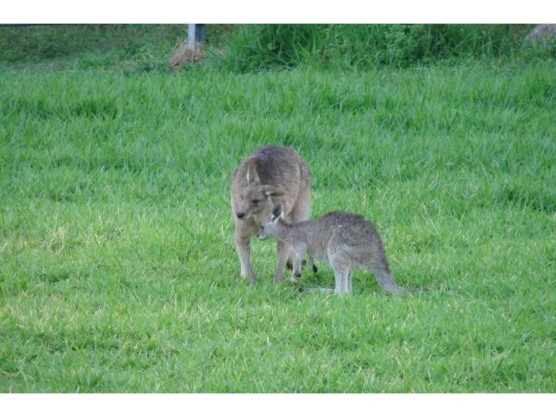 Lot 1/12 Bimba Street, Point Lookout QLD 4183