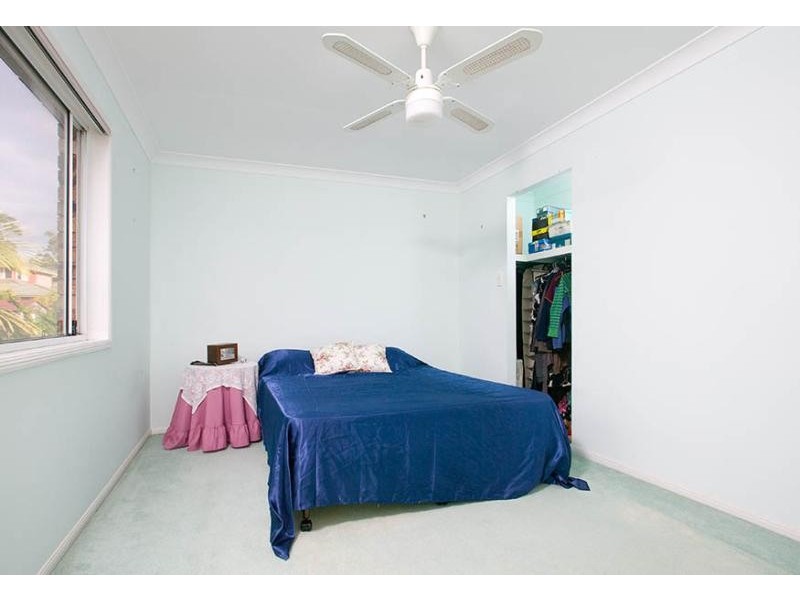 16 Walnut Court, Birkdale QLD 4159