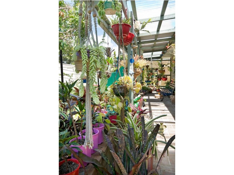 16 Wunulla Street, Thorneside QLD 4158