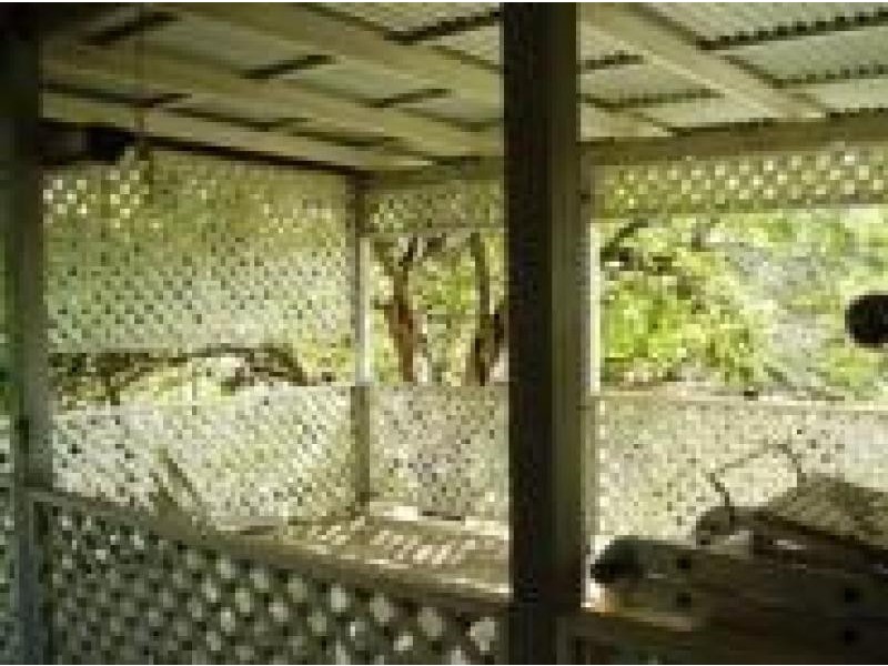 51 Hockings Street, Holland Park QLD 4121