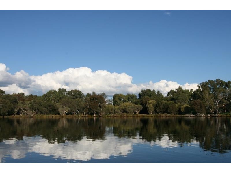 77 Crowther Street, Bayswater WA 6053