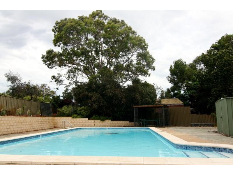 74/50 Kirkham Hill Terrace, Maylands WA 6051