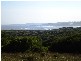 SOUTH ROAD, King Island TAS 7256