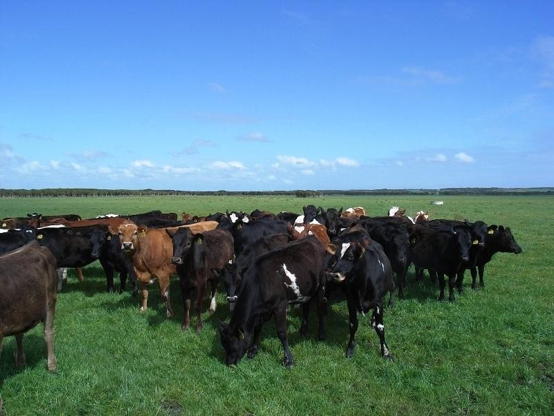 King Island TAS 7256