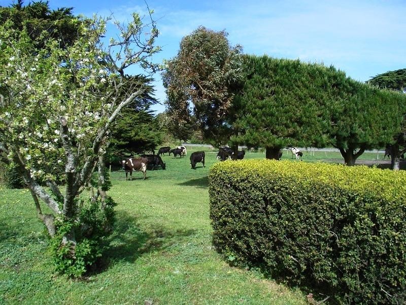 King Island TAS 7256