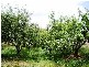 178 ROGER RIVER ROAD, Roger River TAS 7330
