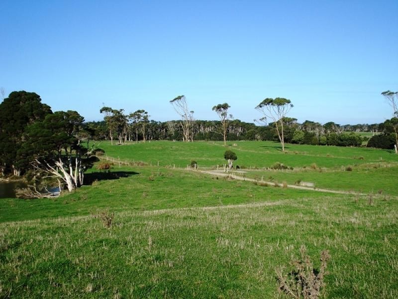 767 MOUNT STANLEY ROAD, Lymwood TAS 7256