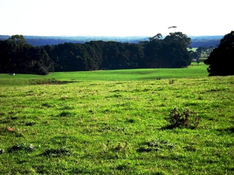 767 MOUNT STANLEY ROAD, Lymwood TAS 7256