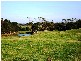 767 MOUNT STANLEY ROAD, Lymwood TAS 7256
