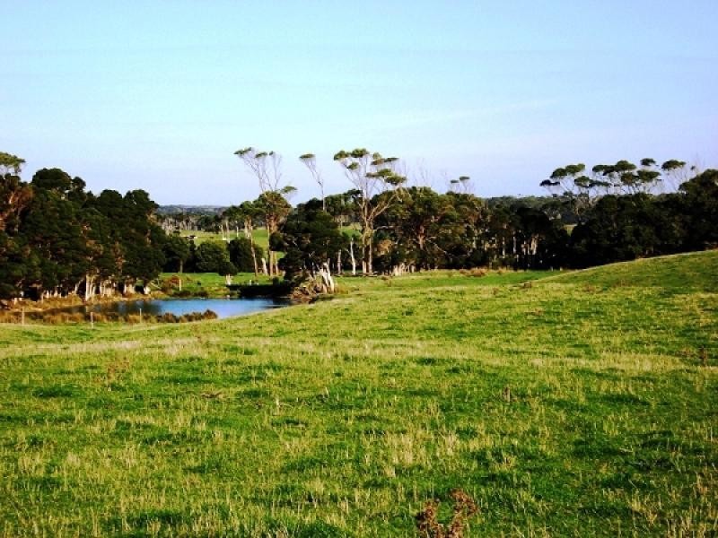 767 MOUNT STANLEY ROAD, Lymwood TAS 7256