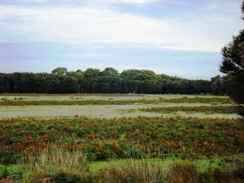 1868 South Road, King Island TAS 7256