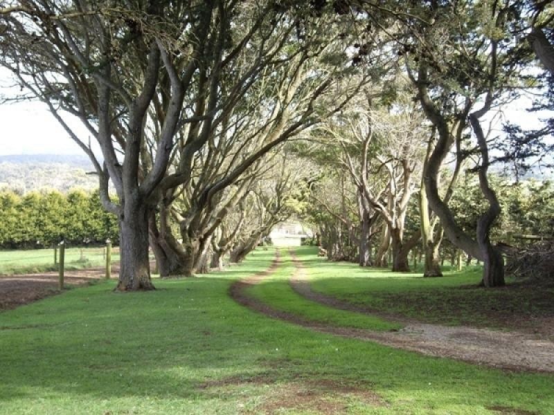 79 Fords Road, Forest TAS 7330