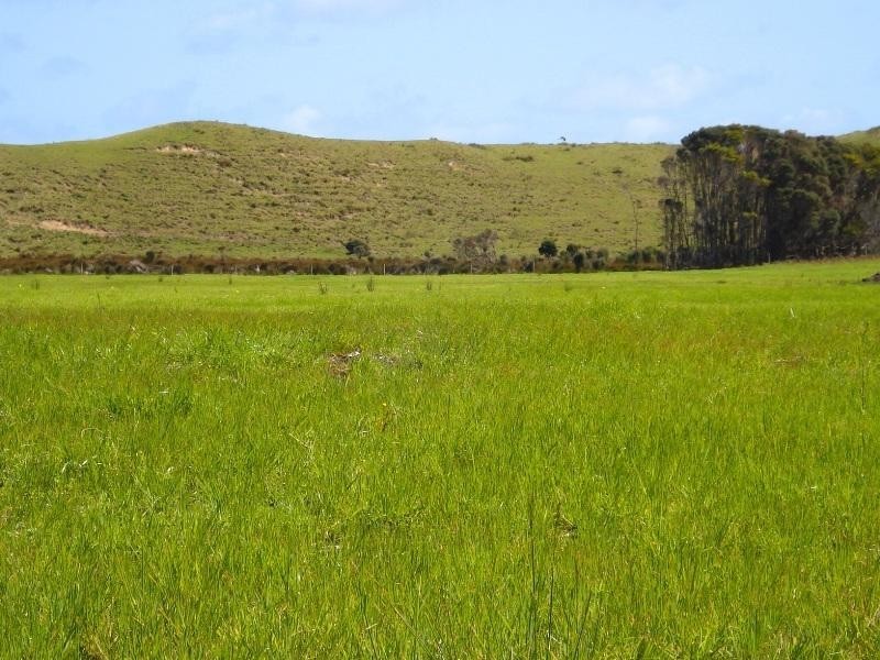 King Island TAS 7256