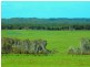 King Island TAS 7256