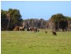 King Island TAS 7256