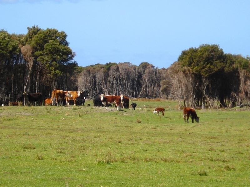 King Island TAS 7256