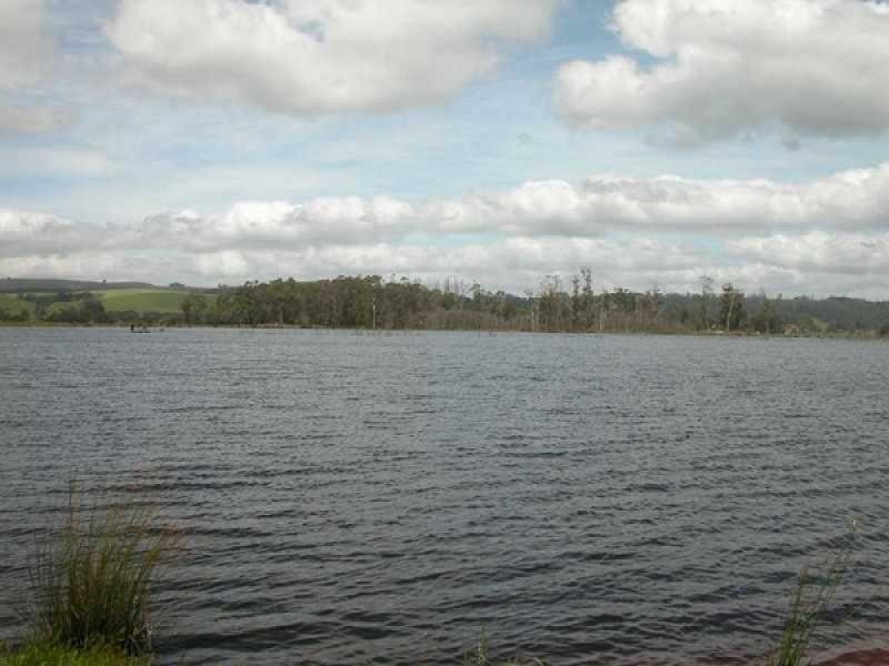 Edith Creek TAS 7330