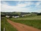 Edith Creek TAS 7330