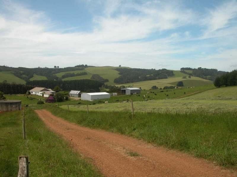 Edith Creek TAS 7330