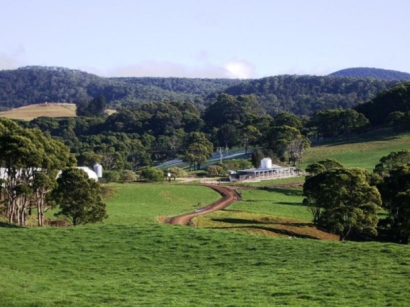 1169 Lapoinya Road, Milabena TAS 7325