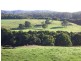 1169 Lapoinya Road, Milabena TAS 7325