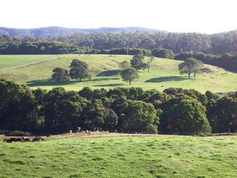 1169 Lapoinya Road, Milabena TAS 7325
