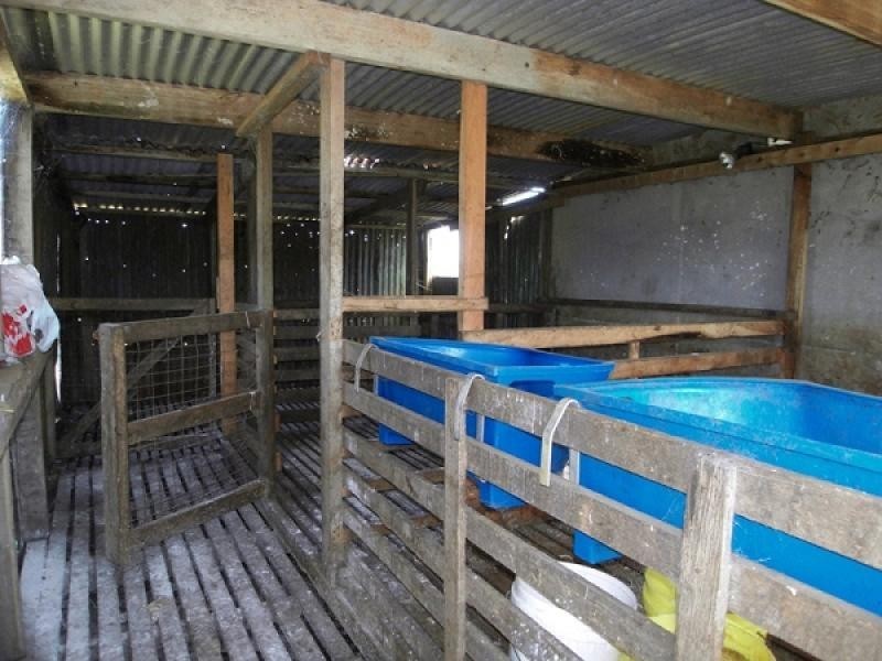 1199 Mawbanna Road, Smithton TAS 7330