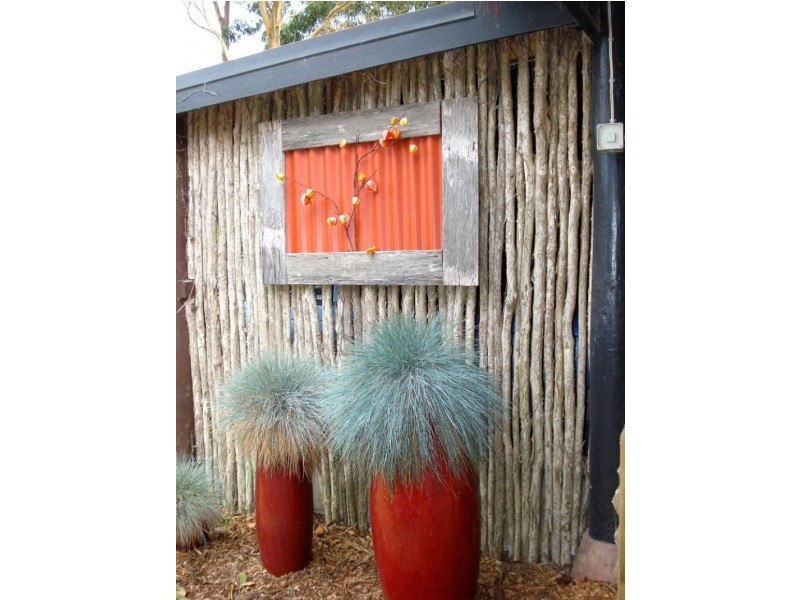 877 Reekara Rd, King Island TAS 7256