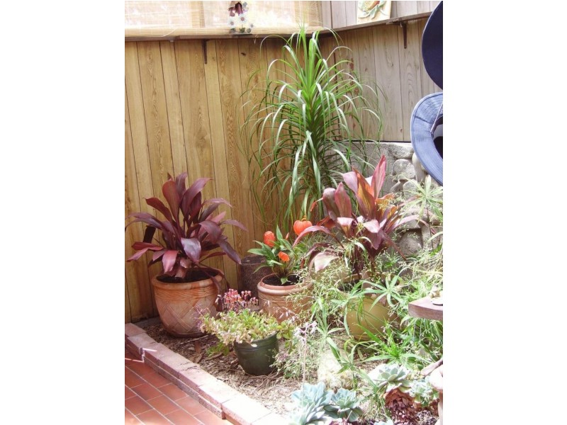 877 Reekara Rd, King Island TAS 7256