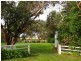 132 Main St, Currie, King Island TAS 7256