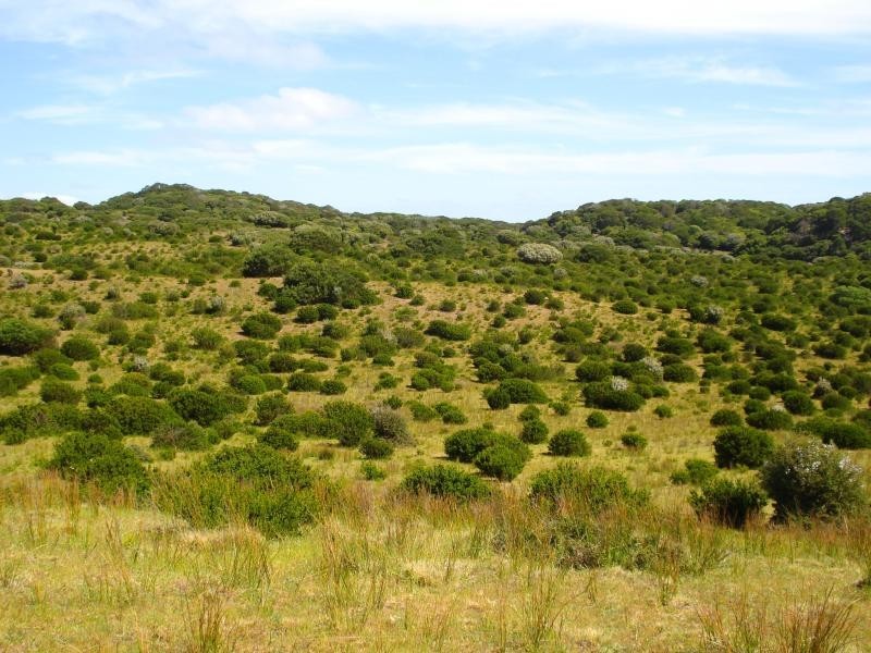 King Island TAS 7256
