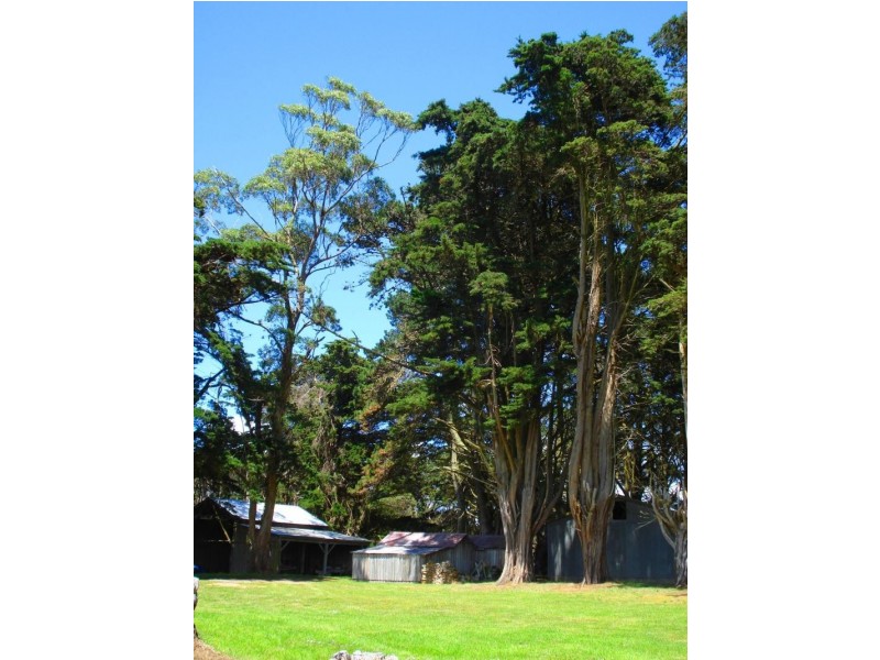1639 Grassy Rd, King Island TAS 7256