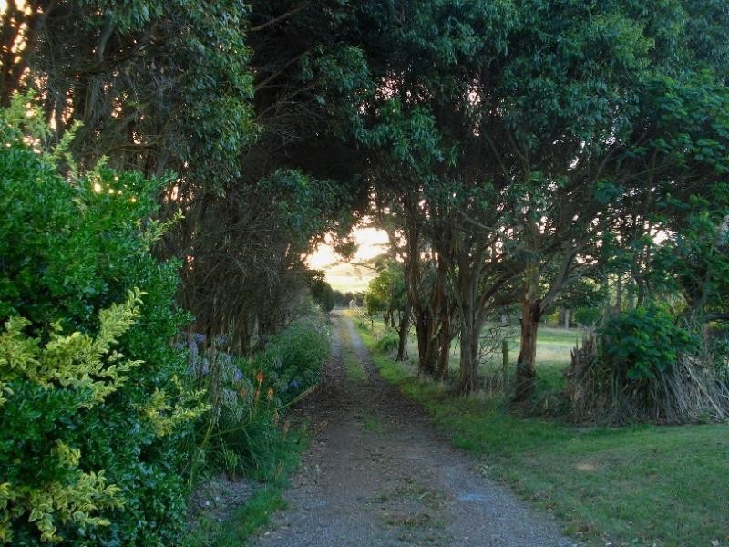 710 Mount Stanley Rd, King Island TAS 7256