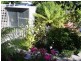8 Main Road, Stanley TAS 7331