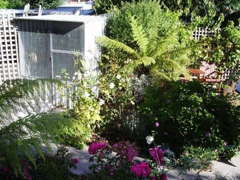 8 Main Road, Stanley TAS 7331