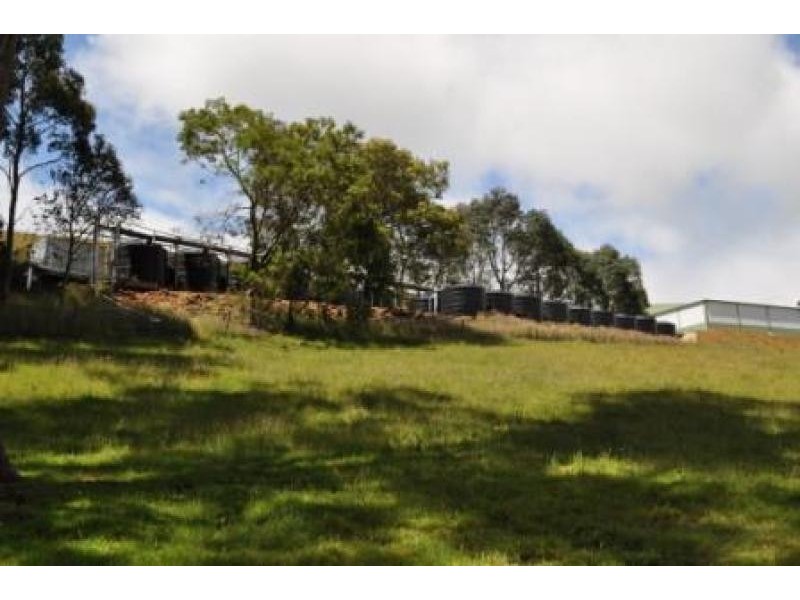 900 Myalla Road, Milabena TAS 7325