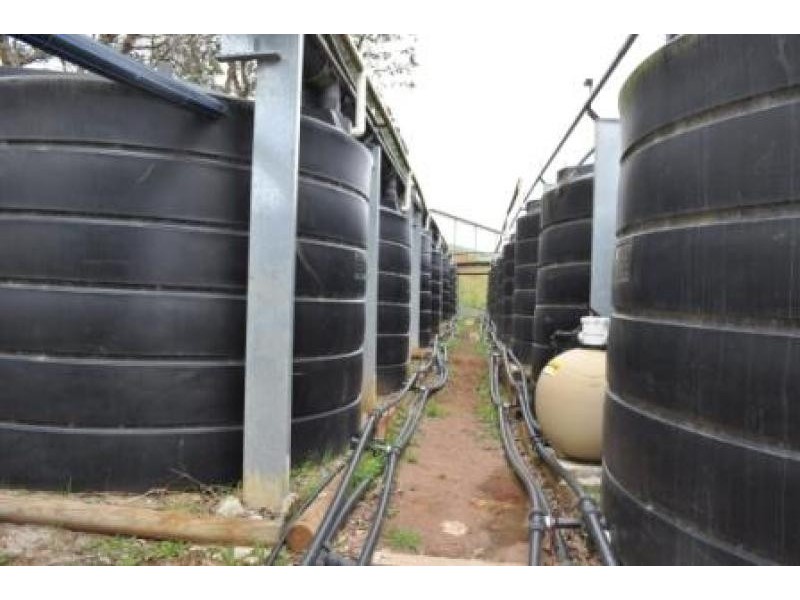 900 Myalla Road, Milabena TAS 7325