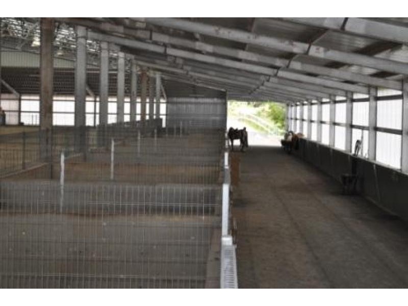 900 Myalla Road, Milabena TAS 7325