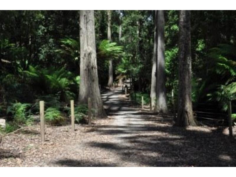 900 Myalla Road, Milabena TAS 7325