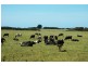 345 Houses Road, Lileah TAS 7330