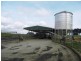 345 Houses Road, Lileah TAS 7330