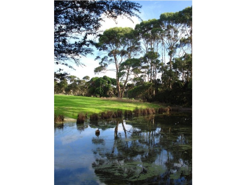 226 Marshalls Rd, King Island TAS 7256