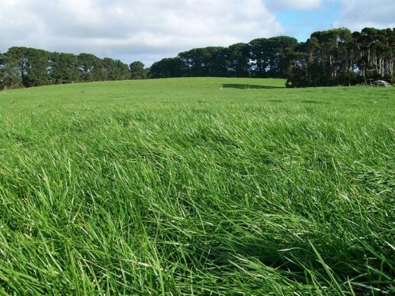 King Island TAS 7256