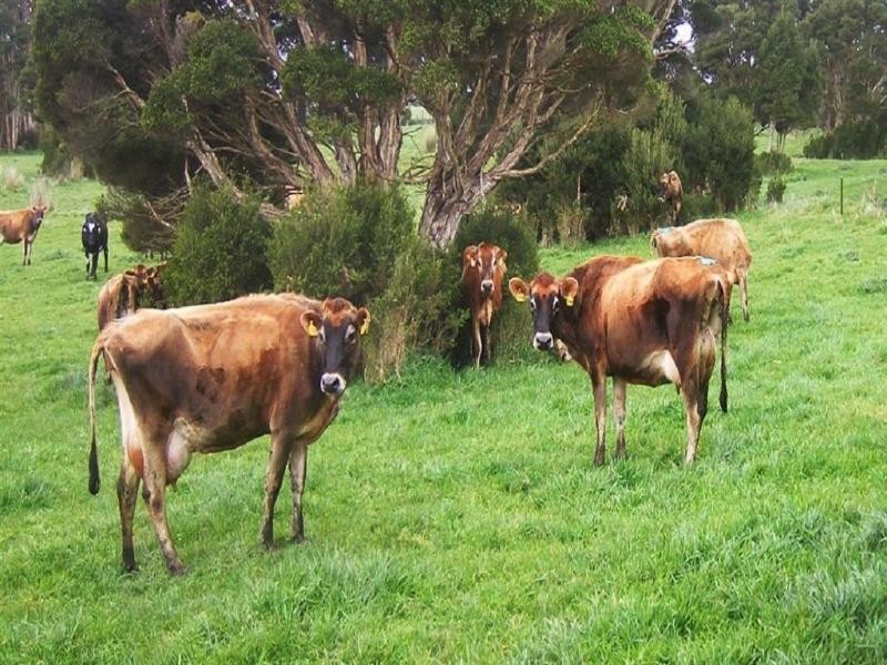 King Island TAS 7256