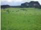 King Island TAS 7256