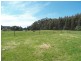 145 Roger River Road, Roger River TAS 7330