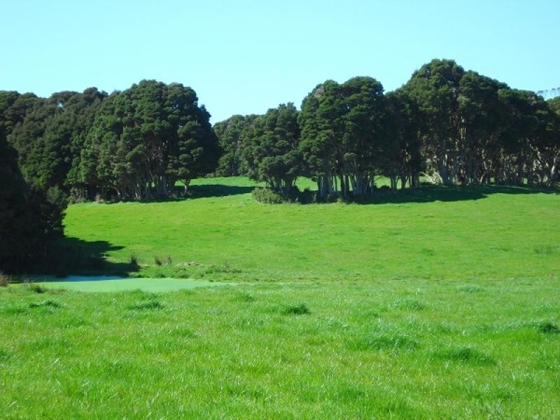 918 Old Grassy Road,, King Island TAS 7256