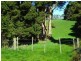 918 Old Grassy Road,, King Island TAS 7256