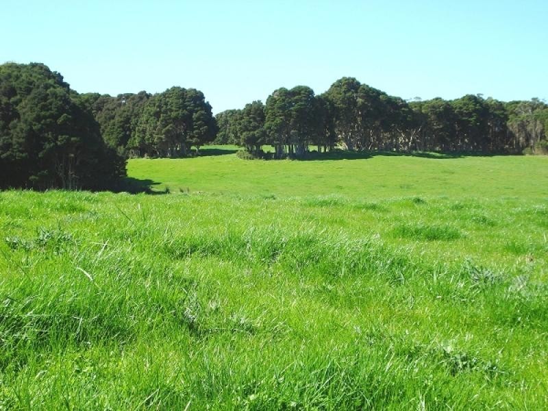 918 Old Grassy Road,, King Island TAS 7256